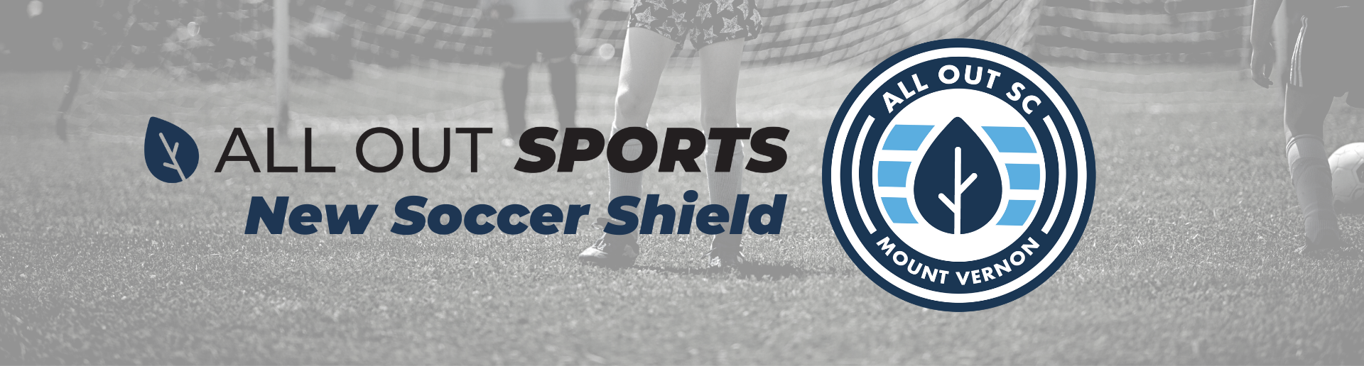 Soccer Shield